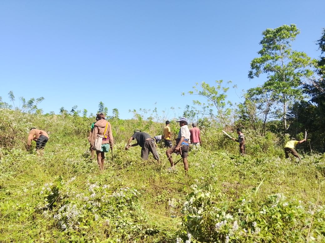 Gotong Royong Membersihkan Lahan Desa